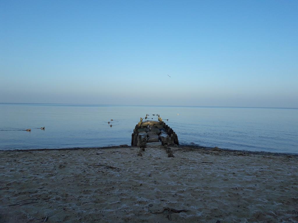 Seaside Lesne Tarasy Apartamento Dziwnówek Exterior foto